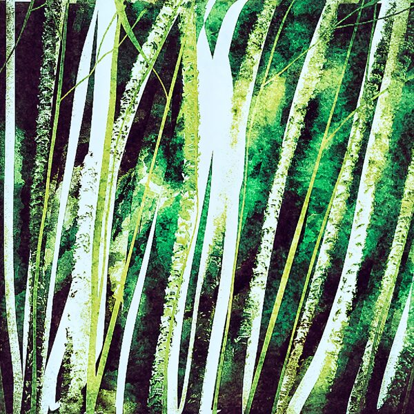 Forêt 2