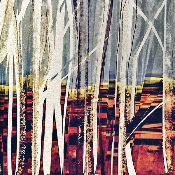 Forêt 3