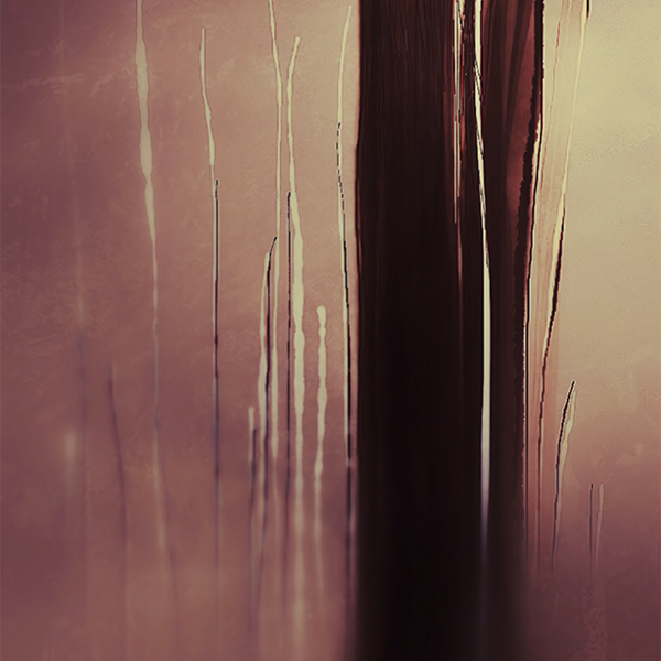 Incidences 2