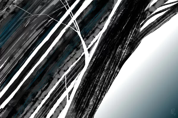 Forêt 1