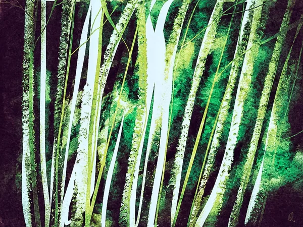 Forêt 2