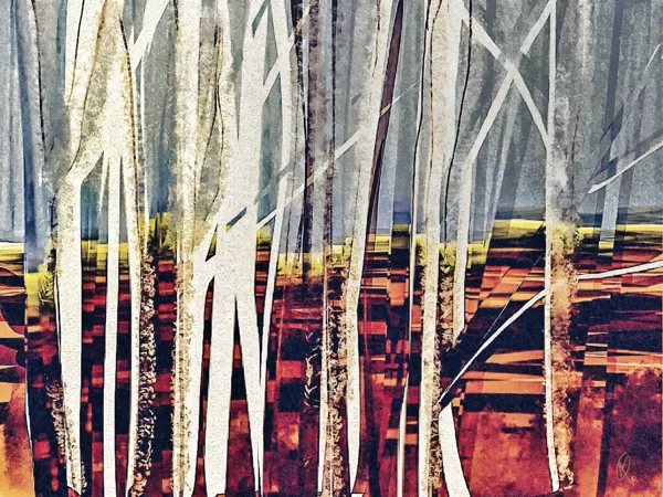 Forêt 3