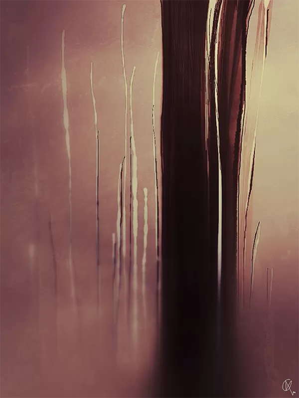 Incidences 2